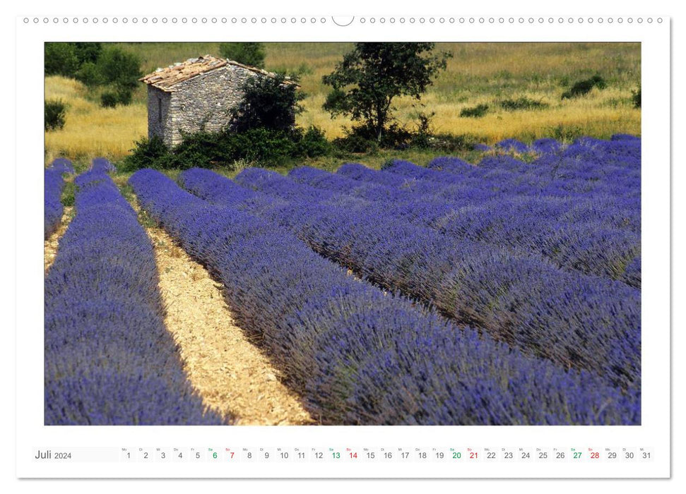 Farbenfrohe Provence (CALVENDO Wandkalender 2024)
