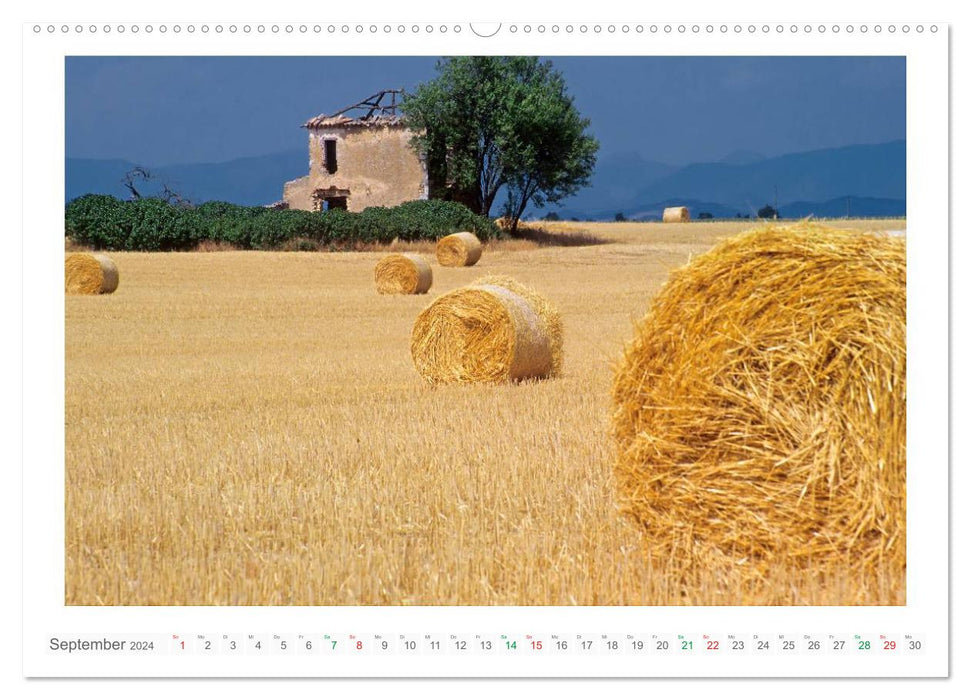 Farbenfrohe Provence (CALVENDO Wandkalender 2024)