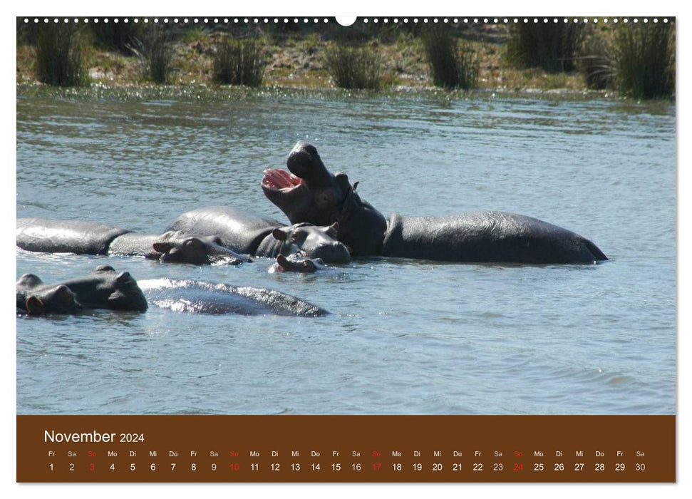 Namibia - fascinating people and animals (CALVENDO Premium Wall Calendar 2024) 