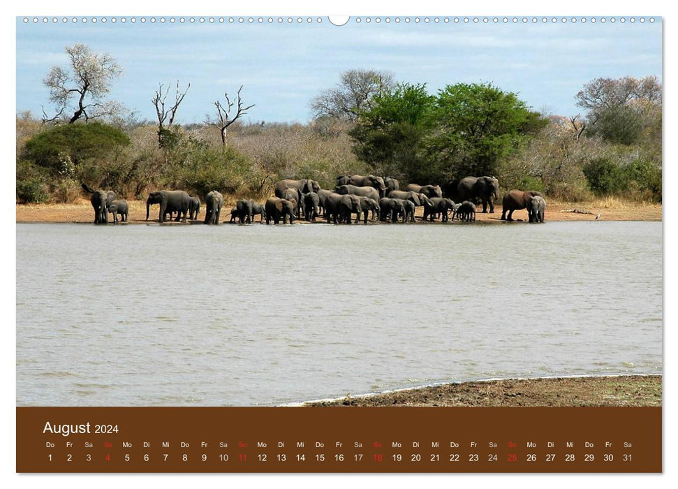 Namibia - faszinierende Menschen und Tiere (CALVENDO Premium Wandkalender 2024)