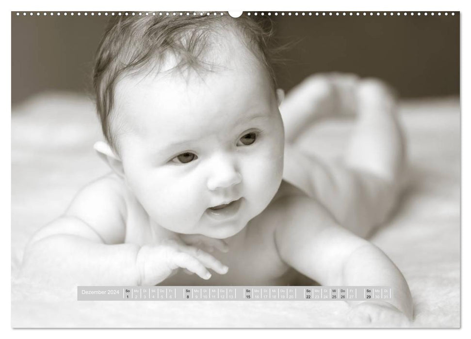 ...so tiny - baby calendar (CALVENDO wall calendar 2024) 
