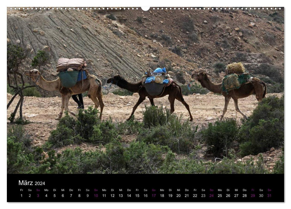 Camels 2024 - Traveling with shaggy desert ships (CALVENDO wall calendar 2024) 