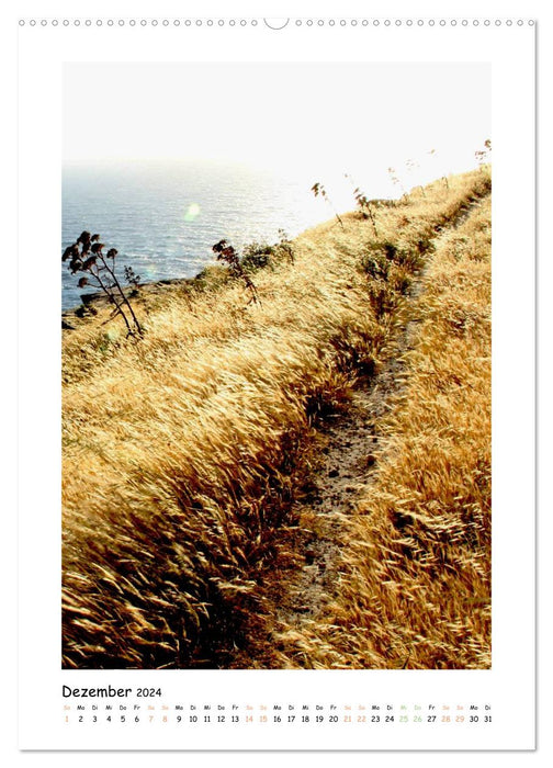 Paths of leisure (CALVENDO wall calendar 2024) 