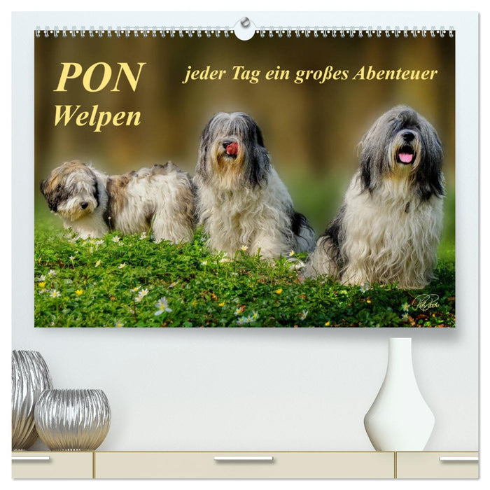 PON - Puppies, every day is a big adventure (CALVENDO Premium Wall Calendar 2024) 