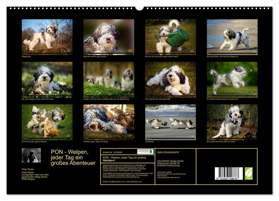 PON - Puppies, every day is a big adventure (CALVENDO Premium Wall Calendar 2024) 