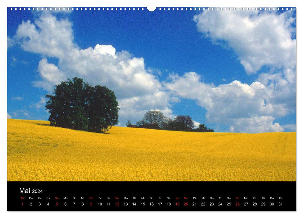 Bavarian Forest (CALVENDO Premium Wall Calendar 2024) 