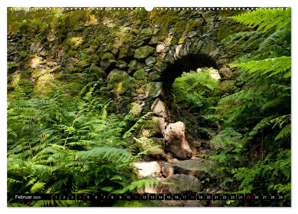 San Miguel de la Palma (CALVENDO wall calendar 2024) 