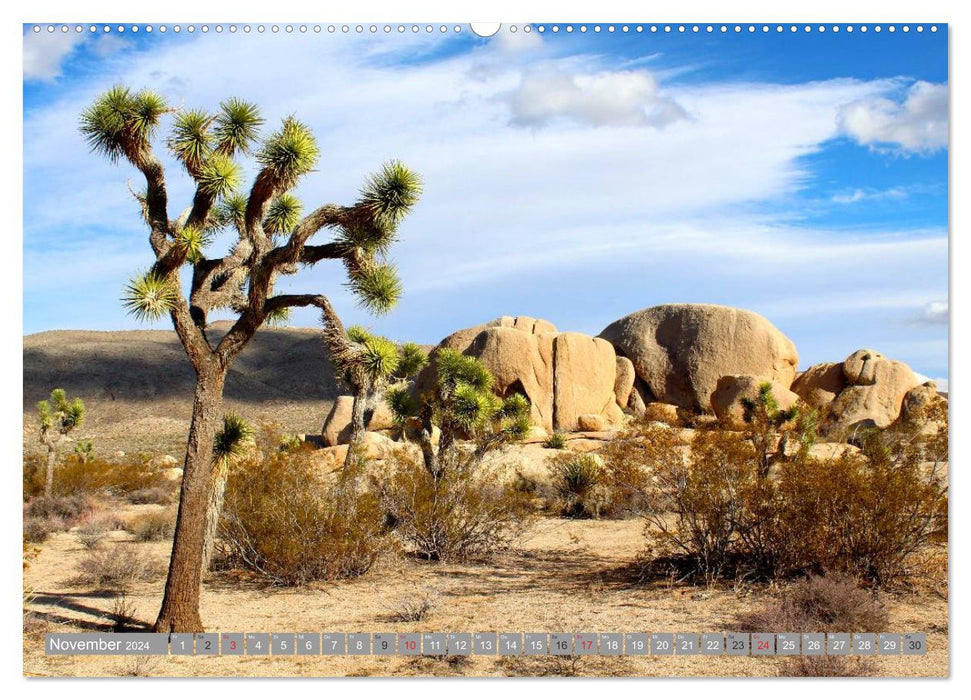 California • The Golden West Coast (CALVENDO Premium Wall Calendar 2024) 