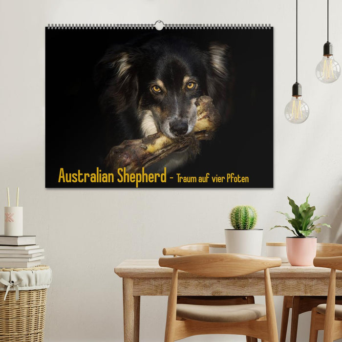 Australian Shepherd - Traum auf vier Pfoten (CALVENDO Wandkalender 2024)