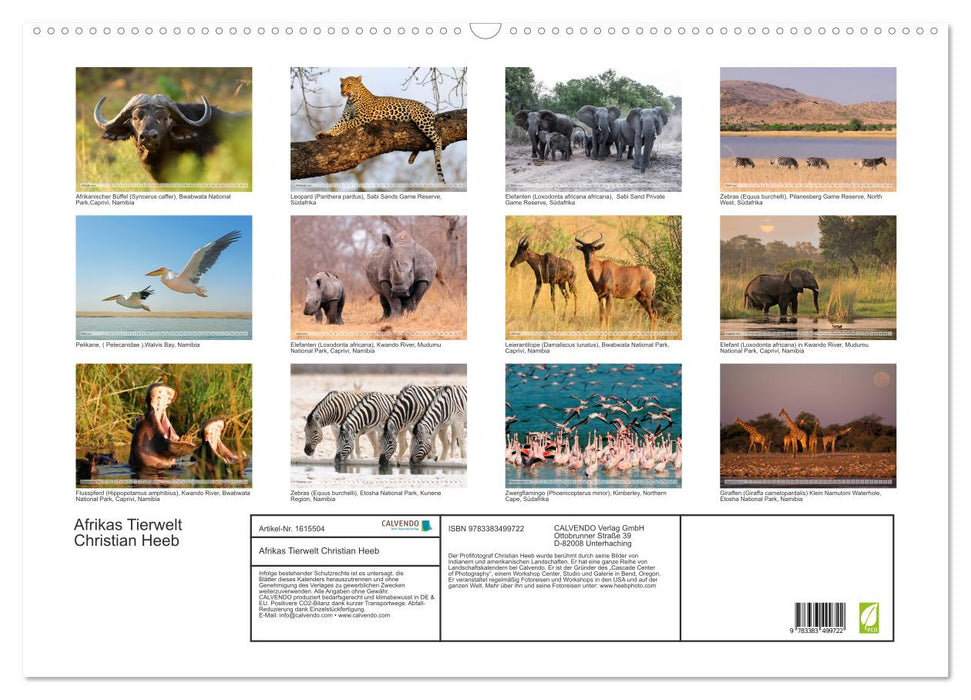 Africa's wildlife Christian Heeb (CALVENDO wall calendar 2024) 