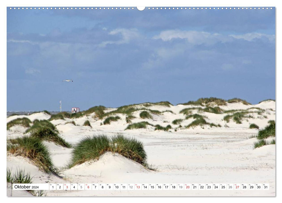 North Sea / pure holiday feeling (CALVENDO Premium Wall Calendar 2024) 