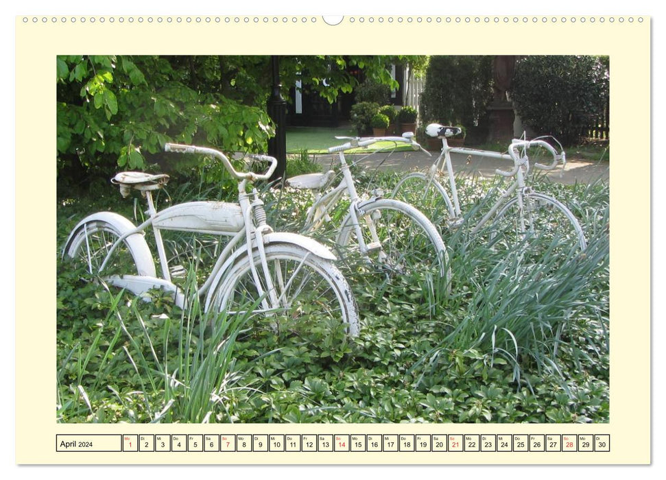 All sorts of bikes (CALVENDO wall calendar 2024) 