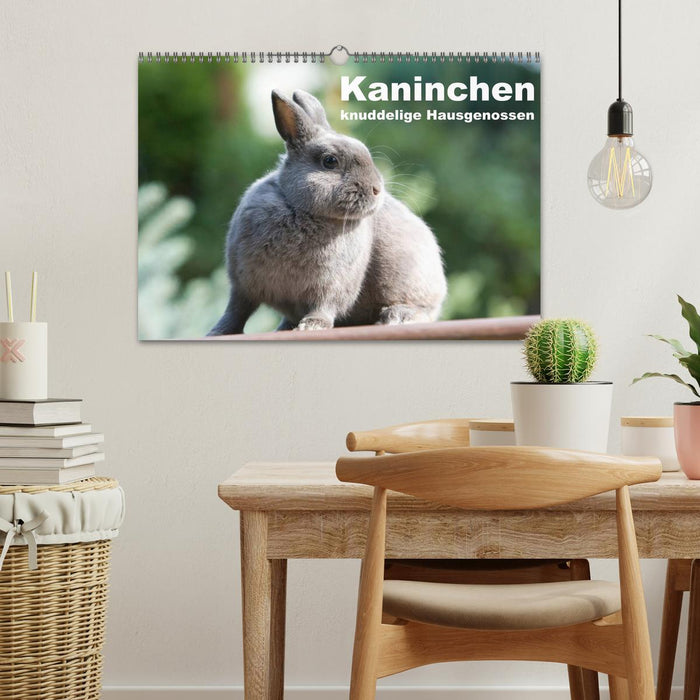 Kaninchen - knuddelige Hausgenossen (CALVENDO Wandkalender 2024)