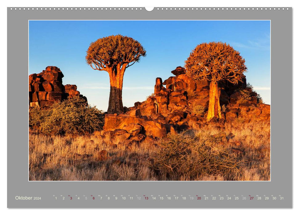 Namibie - Les couleurs du Namib (Calendrier mural CALVENDO Premium 2024) 