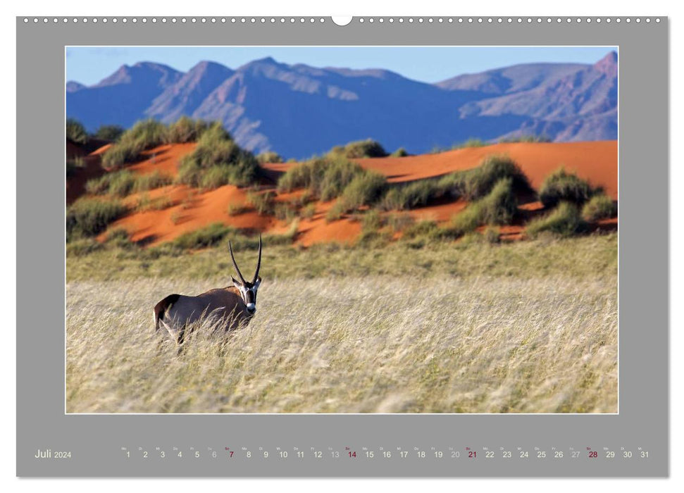 Namibie - Les couleurs du Namib (Calendrier mural CALVENDO Premium 2024) 