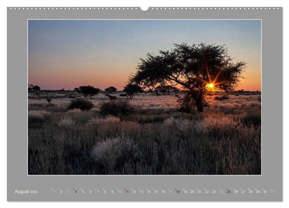 Namibia - The colors of the Namib (CALVENDO Premium Wall Calendar 2024) 