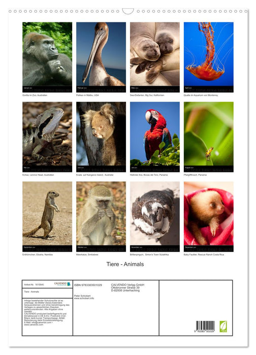 Animals - Animals (CALVENDO wall calendar 2024) 