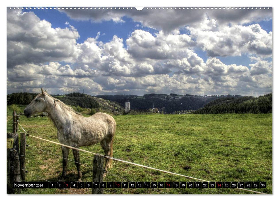 Fascination Eifel (CALVENDO wall calendar 2024) 