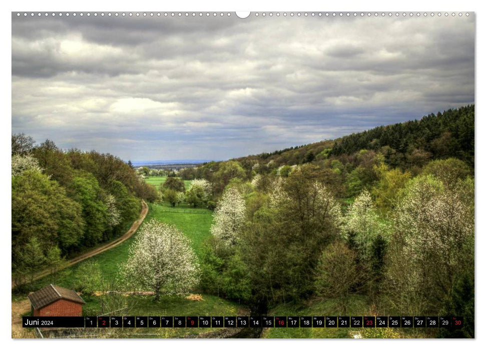 Fascination Eifel (CALVENDO wall calendar 2024) 