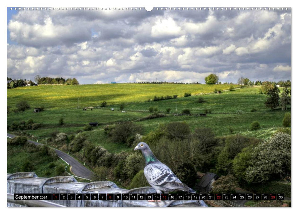 Fascination Eifel (CALVENDO wall calendar 2024) 