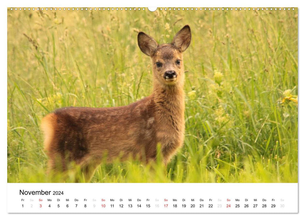 Tiere in der Feldmark (CALVENDO Premium Wandkalender 2024)