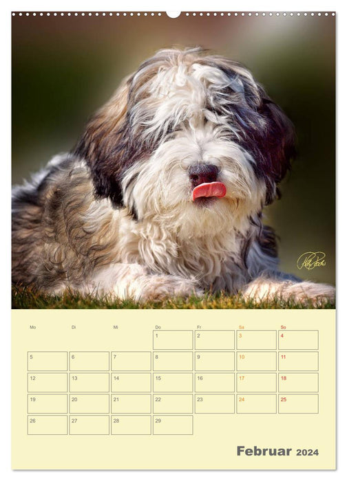 PON puppies - every day is a big adventure / planner (CALVENDO wall calendar 2024) 