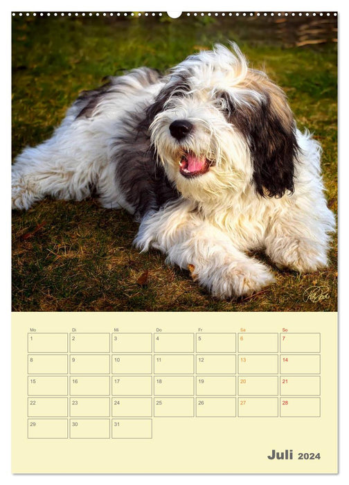 PON puppies - every day is a big adventure / planner (CALVENDO wall calendar 2024) 