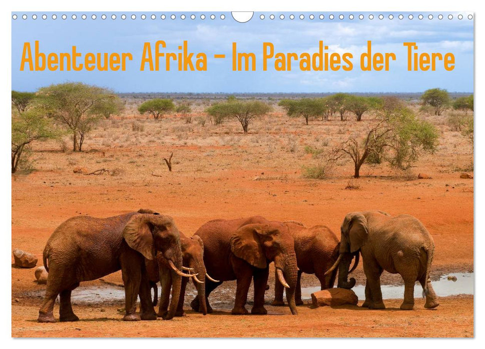 Adventure Africa - In the Paradise of Animals (CALVENDO Wall Calendar 2024) 
