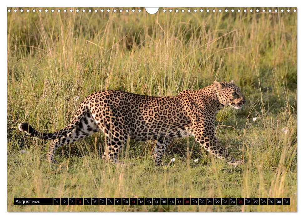 Adventure Africa - In the Paradise of Animals (CALVENDO Wall Calendar 2024) 