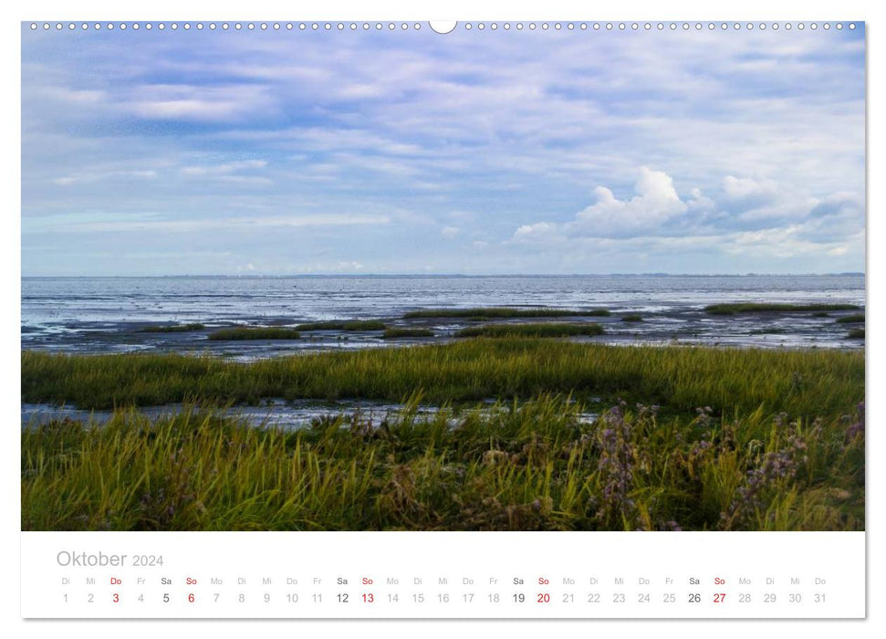 Sylt in autumn (CALVENDO wall calendar 2024) 