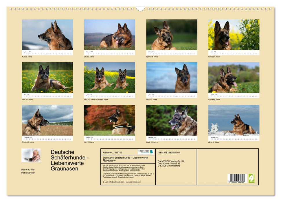 Deutsche Schäferhunde - Liebenswerte Graunasen (CALVENDO Wandkalender 2024)