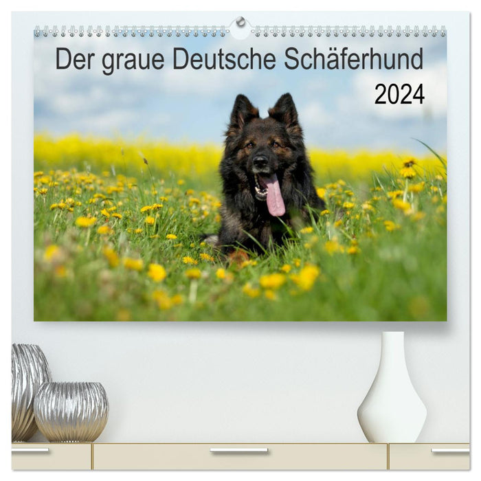 The gray German Shepherd (CALVENDO Premium Wall Calendar 2024) 