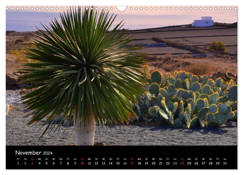 Lanzarote – Island of Colors (CALVENDO Wall Calendar 2024) 