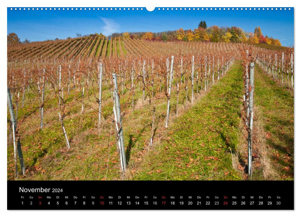 Vineyards in the Remstal (CALVENDO Premium Wall Calendar 2024) 