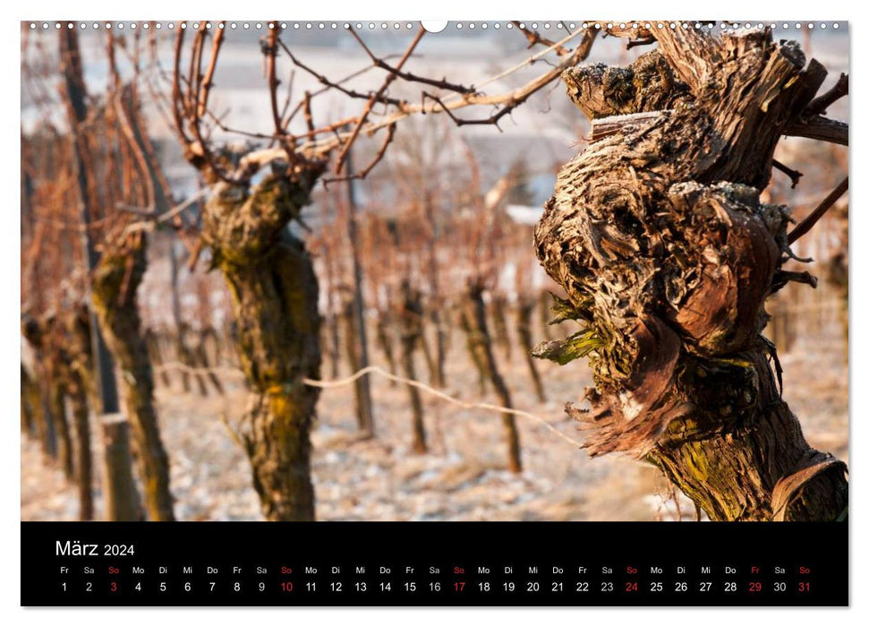 Vineyards in the Remstal (CALVENDO Premium Wall Calendar 2024) 