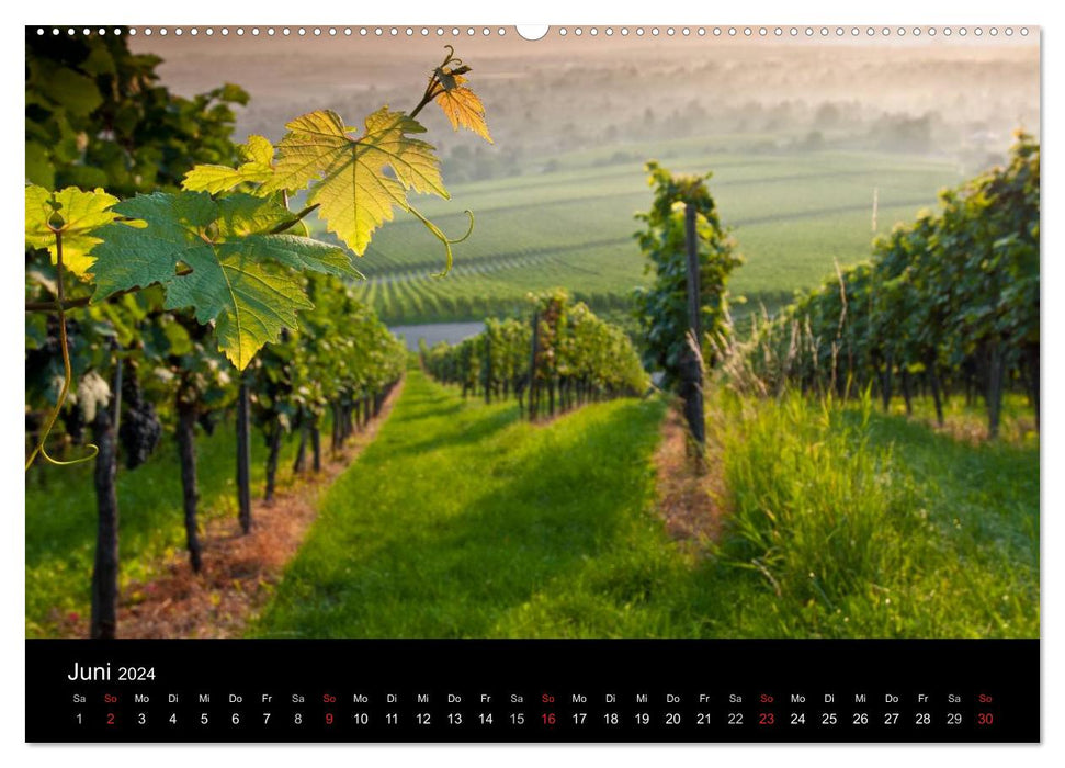 Weinberge im Remstal (CALVENDO Premium Wandkalender 2024)