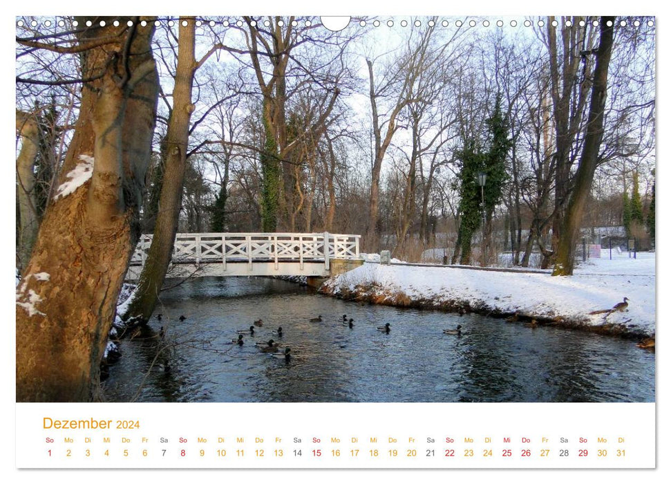 ARNSTADT - The oldest city in the new federal states (CALVENDO wall calendar 2024) 