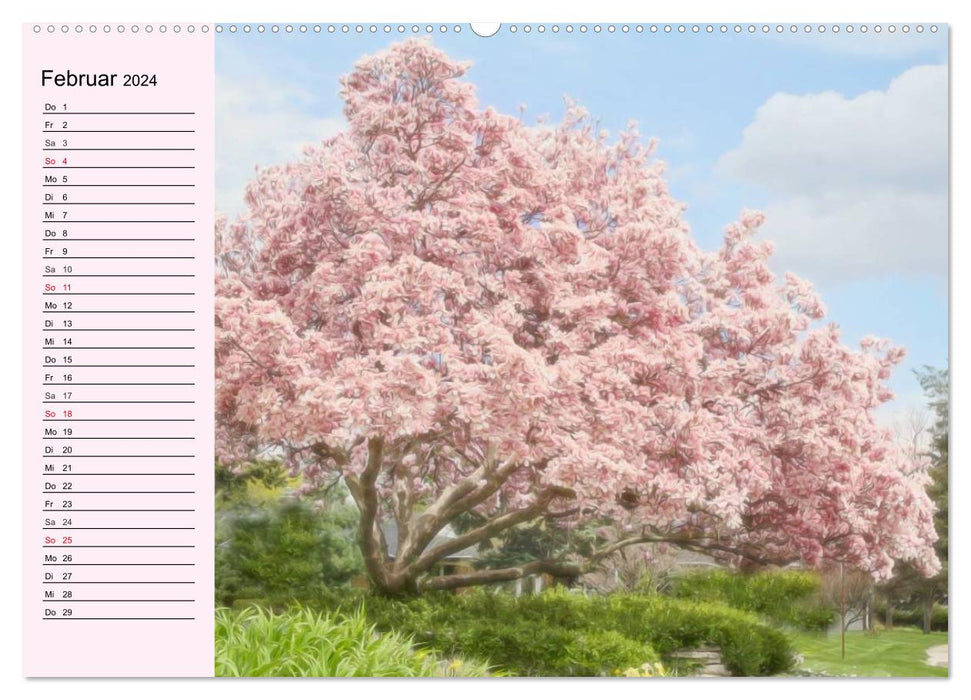 Rosa. Herzenswärme und Verliebtheit (CALVENDO Premium Wandkalender 2024)