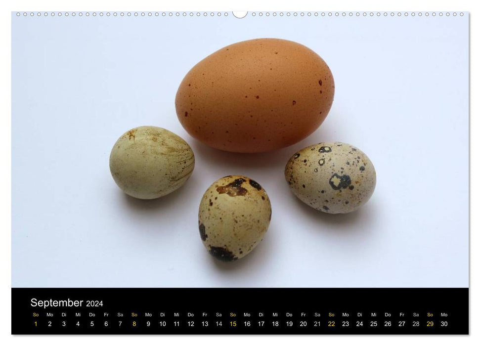 ei.ei.ei – Photographic thoughts about the egg (CALVENDO wall calendar 2024) 