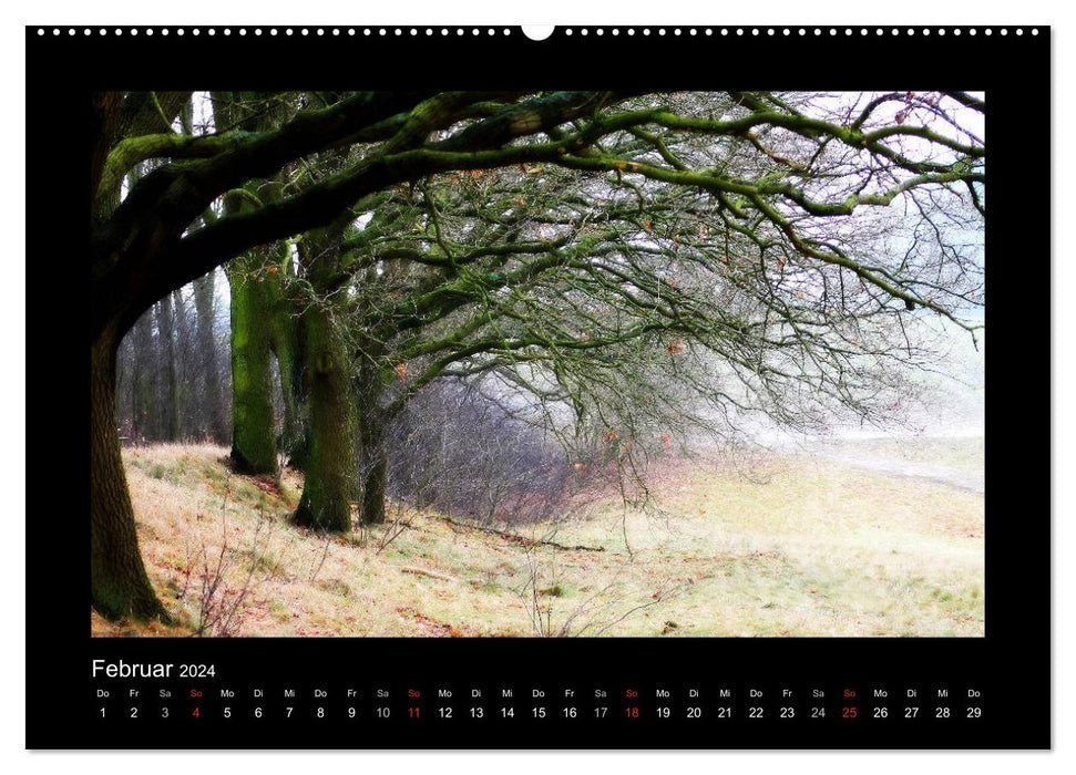 Landschaft Teufelsmoor / 2024 (CALVENDO Premium Wandkalender 2024)