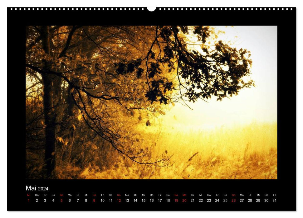 Landscape Teufelsmoor / 2024 (CALVENDO Premium Wall Calendar 2024) 