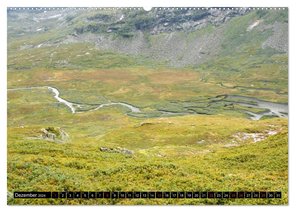 Streifzug durch Norwegens Hardangervidda (CALVENDO Premium Wandkalender 2024)