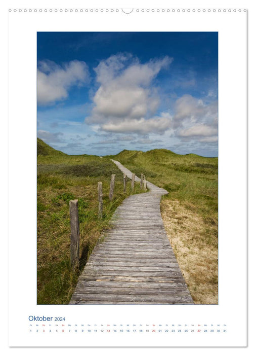 Amrum Island - Frisian Impressions (CALVENDO Wall Calendar 2024) 