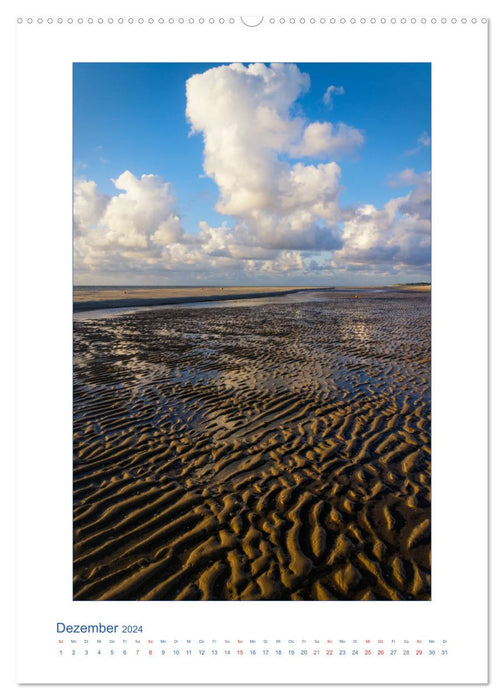Insel Amrum - Friesische Impressionen (CALVENDO Wandkalender 2024)