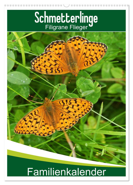Papillons : Aviateurs en filigrane / Calendrier familial (Calendrier mural CALVENDO 2024) 
