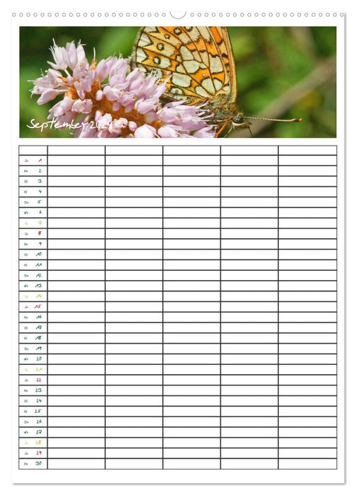 Schmetterlinge: Filigrane Flieger / Familienkalender (CALVENDO Wandkalender 2024)