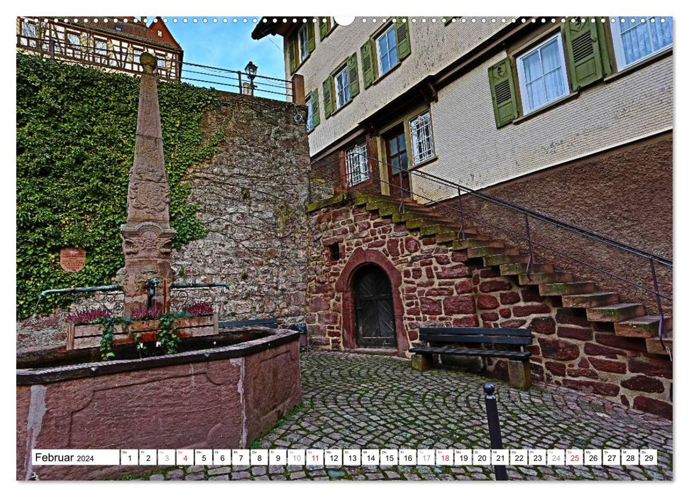 Altensteig (CALVENDO Premium Wall Calendar 2024) 