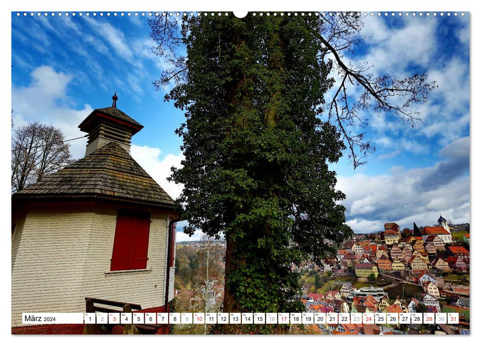 Altensteig (CALVENDO Premium Wall Calendar 2024) 