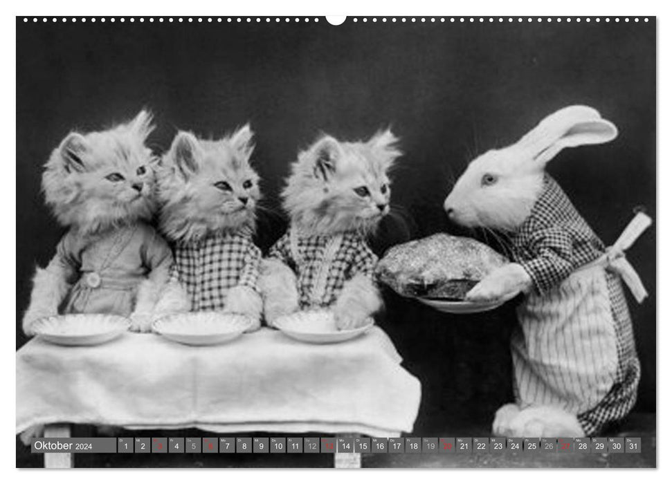 Hunde und Katzen - Nostalgie im Kuschelfell (CALVENDO Wandkalender 2024)