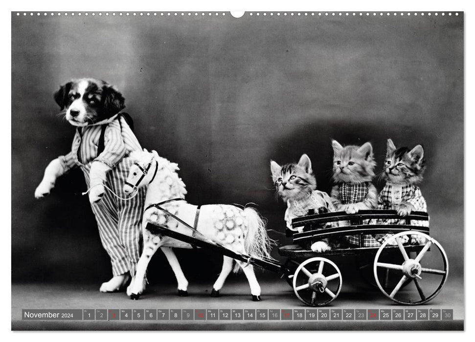 Dogs and cats - nostalgia in cuddly fur (CALVENDO wall calendar 2024) 